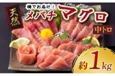 天然メバチマグロ 【 中トロ 】1kg（柵） メバチマグロ めばちまぐろ めばち メバチ まぐろ マグロ 鮪 サク 柵 中トロ 天然 天然まぐろ 天然マグロ 刺身 お刺身 食べ比べ 海鮮丼 丼 魚 さかな 新鮮 高知 室戸 冷凍 小分け 海鮮