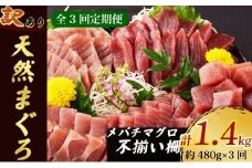 【 3回定期便 】訳あり 天然メバチマグロ 480g  (不揃い柵) メバチマグロ めばちまぐろ めばち メバチ まぐろ マグロ 赤身 鮪 サク 柵 中トロ 天然 天然まぐろ 天然マグロ 刺身 あかみ お刺身 食べ比べ 海鮮丼 丼 魚 さかな 新鮮 高知 室戸 冷凍 小分け 海鮮