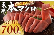 天然本まぐろ 赤身サク 合計約700g 【日時指定可】 刺身 お刺し身 柵 マグロ 鮪 ちらし寿司 手巻き寿司 おかず 海鮮丼 マグロ丼 マグロ漬け丼 魚介類 真空パック 父の日 惣菜 訳あり 規格外 高豊丸 冷凍