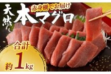 天然本まぐろ 赤身サク 合計約1kg 【日時指定可】 刺身 お刺し身 柵 マグロ 鮪 ちらし寿司 手巻き寿司 おかず 海鮮丼 マグロ丼 マグロ漬け丼 魚介類 真空パック 父の日 惣菜 訳あり 規格外 高豊丸 冷凍