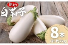 【訳あり】 農家直送 白茄子 土佐の美味茄子の新鮮ナス 8本 2kg 野菜 なす ナス 常温 小袋 国産 夏野菜 茄子 小分け 旬 高知