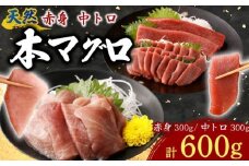 天然本まぐろ 赤身 中トロ 切落し お手軽 ちょこっとパック 合計600g 食べきりサイズ 切り落とし お刺身 魚介類 海鮮 小分け 魚 海産物 魚貝 マグロ 父の日 高知県 簡単解凍 簡単調理 惣菜 冷凍