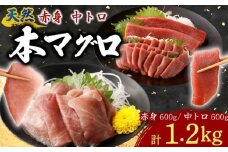 天然本まぐろ 赤身 中トロ 切落し お手軽 ちょこっとパック 合計1.2kg 食べきりサイズ 切り落とし お刺身 魚介類 海鮮 小分け 魚 海産物 魚貝 マグロ 父の日 高知県 簡単解凍 簡単調理 惣菜 冷凍