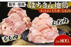 地鶏 はちきん地鶏 （土佐はちきん地鶏） カット肉800ｇセット ( もも肉 ・ むね肉 各400g 小分け  ） 真空冷凍 国産鶏肉 地鶏 ブランド鶏 高知地鶏 ヘルシー低脂肪 高タンパク 鍋 唐揚げ 焼き鳥 焼肉 BBQ 煮物 親子丼 チキンステーキ サラダ チキンソテー おかず 惣菜 家庭用 業務用 ギフト 贈答品 内祝い お中元 お歳暮 キャンプ アウトドア バーベキュー  10000円