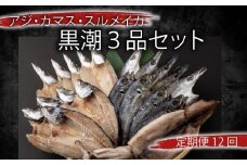 【定期便 毎月12回】 干物 黒潮セット アジ開き5枚 鯵 アジ あじ カマス開き5枚 かます トロカマス スルメイカ1枚 冷凍 人気 干物 詰め合わせ 大容量 海鮮 魚介 白身魚 室戸海洋深層水 高知県室戸市 ご飯のお供 朝食 晩酌 酒の肴 おつまみ BBQ ギフト 贈答 グルメ 送料無料 iz065-sku