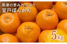 【先行予約受付中】ぽんかん 5kg ｜ 優品 室戸 ポンカン LLサイズ｜高知県室戸市の自然の恵みで育った甘くて濃厚な味わい【ふるさと納税】
