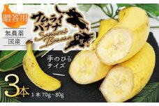 高知県産 侍バナナ｜無農薬 国産 農家直送 手のひらサイズ 3本 贈答用 バナナ フルーツ 果物 ギフト 冷凍フルーツ バナナ サムライ スムージー ふるさと納税