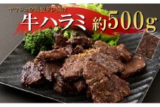 ヤマジュウの特製タレ漬け！牛ハラミ肉５００ｇ