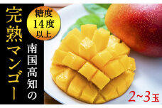【令和8年産 先行予約受付】 完熟 マンゴー 2玉 ～ 3玉 800g ～ 1.1kg フルーツ 果物 くだもの 季節限定 期間限定 旬 限定 高糖度 南国フルーツ 南国マンゴー スイーツ デザート アレンジ プリン ケーキ スムージー  国産 メリーガーデン 高知県安芸市