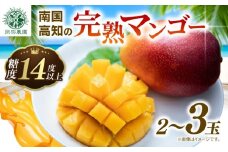 【令和8年産 先行予約受付】 完熟 マンゴー 2玉 ～ 3玉 800g ～ 900g フルーツ 果物 くだもの 季節限定 期間限定 旬 限定 高糖度 南国フルーツ 南国マンゴー スイーツ デザート アレンジ プリン ケーキ スムージー  国産 メリーガーデン 高知県安芸市