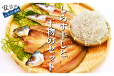 33.-（4）田渕水産のしらす干し、干物セット