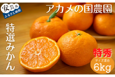 34-(1).アカメの国農園特選みかん 特秀 6kg