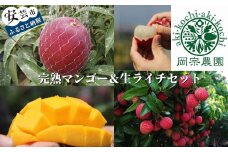 0.-(4)メリーガーデンの完熟マンゴー＆生ライチセット