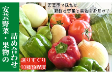 リニューアル！！ 1-(3)．安芸野菜・果物の詰め合わせ