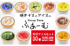 30-(2).とさ野菜アイス30個セット