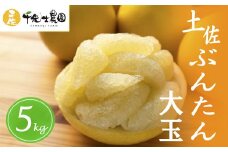 31-01 千光士農園の土佐文旦 大玉 5kg