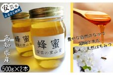 1-11:安芸の里山蜜　500ｇ×2本セット