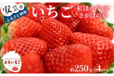 【先行予約】 いちご 紅ほっぺ さがほのか 約 1kg ( 約 250g × 4パック ) 【2025年12月～発送予定】 果物 フルーツ イチゴ 苺 小分け パック 期間限定 季節限定 数量限定 旬 高知県産 高知県安芸市