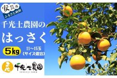 【限定】31-09 千光士農園のハッサク 5kg