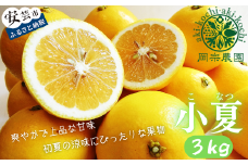 【先行予約】【令和8年産】 小夏 3kg フルーツ 果物 みかん 期間限定 季節限定 旬 柑橘 家庭用 自宅用 ギフト プレゼント 贈答 贈答用 こなつ 日向夏 ニューサマーオレンジ オレンジ デザート スイーツ アレンジ ゼリー ジャム ケーキ メリーガーデン 高知県産 高知県安芸市