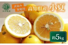 【先行受付】 訳あり 小夏 5kg 家庭用 フルーツ 果物 みかん 期間限定 季節限定 旬 柑橘 自宅用 ご家庭用 訳アリ こなつ 日向夏 ニューサマーオレンジ オレンジ デザート スイーツ アレンジ ゼリー ジャム ケーキ メリーガーデン 高知県産 高知県安芸市
