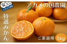 34-(3).アカメの国農園特選みかん (家庭用 5㎏）