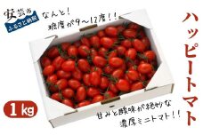 【先行受付開始】9-(7).ハッピートマト1㎏