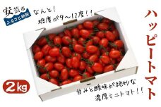 【先行受付開始】9-(8).ハッピートマト2㎏