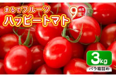 【先行予約】ハッピートマト3㎏