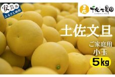 【 先行予約受付 】【 R8年発送 】 土佐文旦 小玉 5kg 訳あり 家庭用 ( スレ キズ あり )  フルーツ 果物 柑橘 期間限定 季節限定 旬 文旦 ぶんたん ブンタン 産地直送 お取り寄せ おいしい 千光士農園 高知県産 高知県安芸市