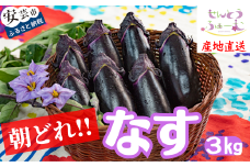 69-1　農家直送！高知県安芸市産　朝採れナス　3ｋｇ