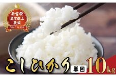 令和7年産 コシヒカリ 白米 10kg お米 精米 新米 高知県産 ごはん 弁当 おにぎり 料理 新嘗祭 皇室献上米 令和7年 R7年 農家直送 申込後精米 発送 贈答用 ギフト 食べ比べ 食品 通販 ふるさと納税 産地指定 グルメ 食事 主食 炊飯 おかず 一人暮らし 家族 安芸市 高知県