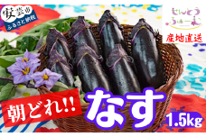69-2　農家直送！高知県安芸市産　朝採れナス　1.5ｋｇ