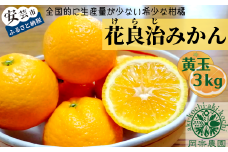 【先行予約】【令和7年産】 みかん 黄玉 3kg フルーツ 果物 期間限定 季節限定 旬 柑橘 家庭用 自宅用 ギフト プレゼント 贈答 贈答用 花良治みかん けらじみかん  オレンジ デザート スイーツ アレンジ ゼリー ジャム ケーキ メリーガーデン 高知県産 高知県安芸市