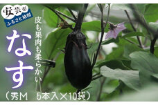 78-01　高知県安芸市産ナス（秀M　5本入　10袋）