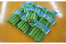 78-02　高知県安芸市産オクラ（秀M　8本入　10袋）