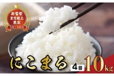 令和7年産 にこまる 白米 4ヵ月連続でお届け!! 定期便 10kg × 4回 40kg お米 精米 新米 ごはん ご飯 高知県産 弁当 おにぎり 料理 新嘗祭皇室献上米 令和7年 R7年 高知県安芸市 国産米 ブランド米 もちもち食感 美味しい 人気 食べ比べ 贈答用 ギフト 食卓 炊飯 おかず 和食 朝食 夕食 昼食 家族 健康 栄養 農家直送 安芸市 高知県
