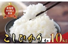 令和7年産 コシヒカリ 白米 4ヵ月連続 定期便 10kg × 4回 40kg お米 精米 新米 スピード発送 ごはん ご飯 高知県産 弁当 おにぎり 料理 新嘗祭皇室献上米 R7年 美味しい 粒選り 農家直送 食味 つや 香り 甘み もちもち 食事 朝食 夕食 贈り物 ギフト 家族 安全 安心 自然 健康 栄養 食卓 米屋 安芸市 高知県
