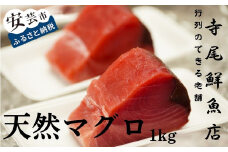 22-(12) 天然まぐろ 赤身 1kg 冷凍 キハダマグロ