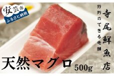 22-(11) 天然まぐろ 赤身 500g 冷凍 キハダマグロ