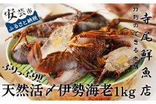 22-(8) 天然活〆伊勢海老1kg（冷凍）【ご家庭用】