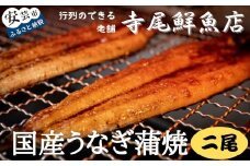 22-(10) うなぎ蒲焼 国産 2尾 冷凍 タレ付き