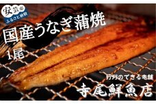 22-(9) うなぎ蒲焼 国産 1尾 冷凍 タレ付き