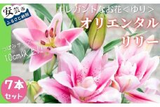 89-02 ユリ（オリエンタルリリー）7本セット