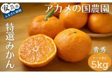 34-(6).アカメの国農園特選みかん 青秀詰め合わせ 5kg