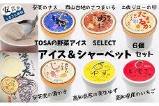 30-04 TOSAの野菜アイス！SELECT アイス＆シャーベット 6個セット
