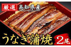 91-05 厳選！！高知県産うなぎ（2尾）