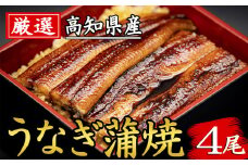 91-18 厳選！！高知県産うなぎ（4尾）