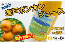 31-21 ぽんかんの甘さそのまま！室戸ポンカンジュース（2本セット）