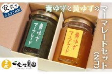 31-22 青ゆずと黄ゆずのマーマレードセット(2個)